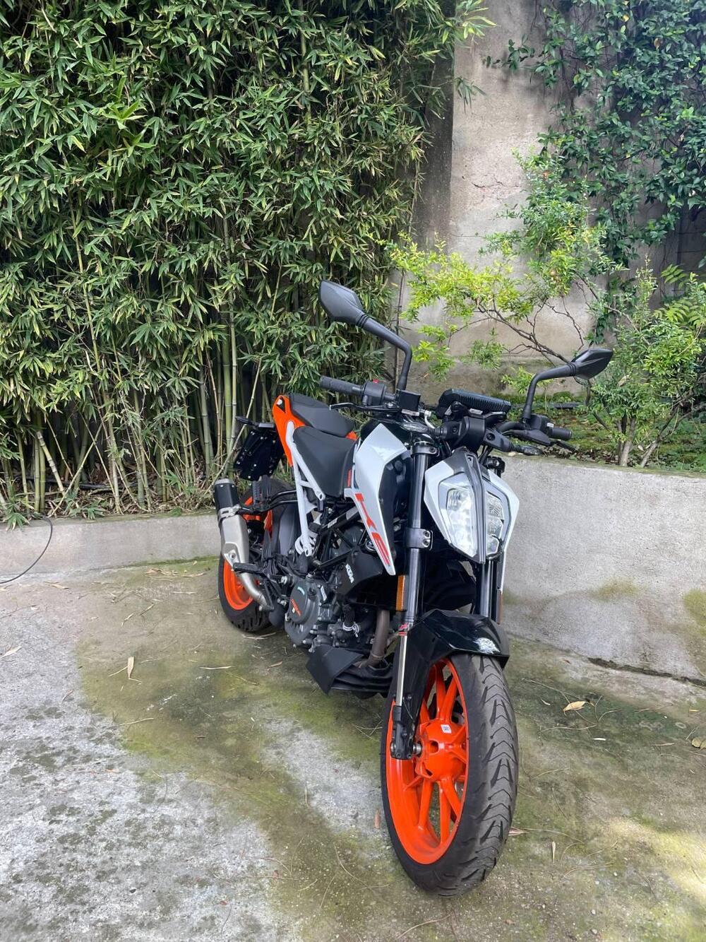 KTM 125 Duke (2024 - 25) (5)