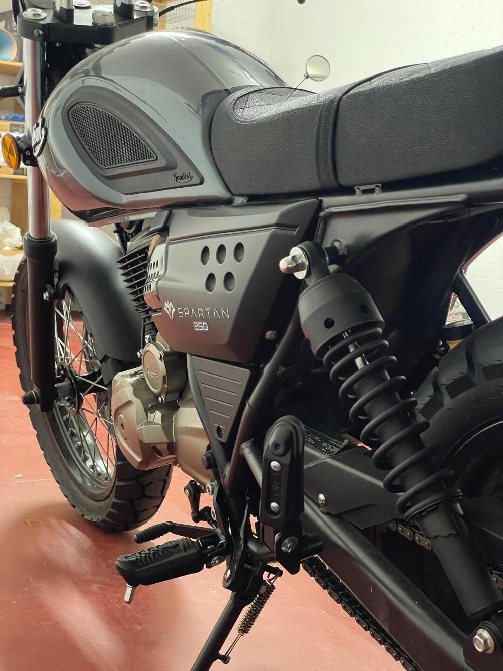 FB Mondial Spartan 250 (2024) (4)