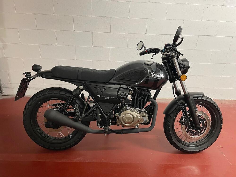 FB Mondial Spartan 250 (2024) (2)