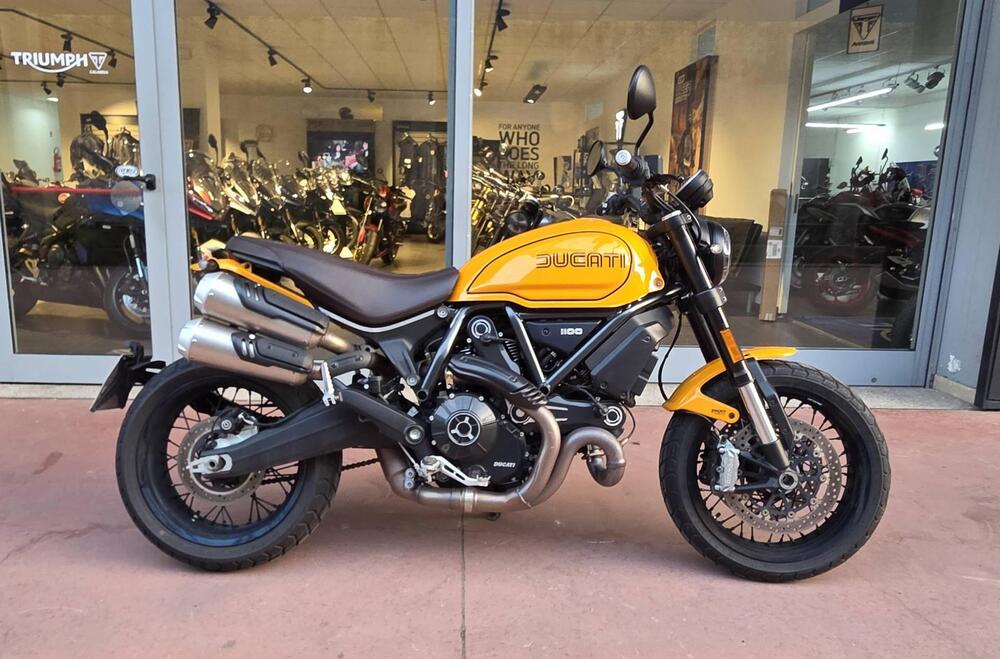 Ducati Scrambler 1100 Tribute Pro (2022 - 24) (3)