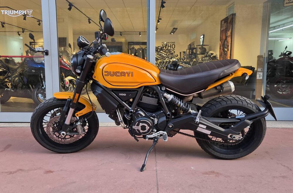 Ducati Scrambler 1100 Tribute Pro (2022 - 24) (6)