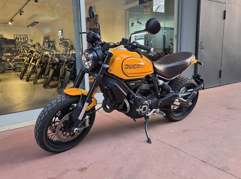 Ducati Scrambler 1100 Tribute Pro (2022 - 24) (7)