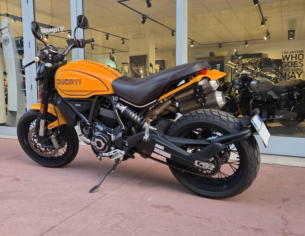 Ducati Scrambler 1100 Tribute Pro (2022 - 24) (8)