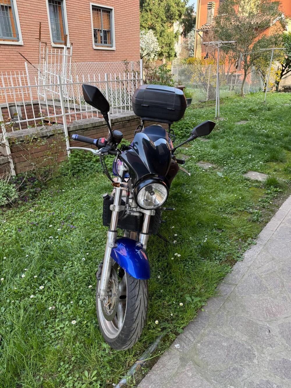 Suzuki SV 650 (1999 - 02) (3)