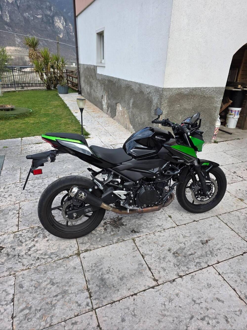 Kawasaki Z 400 (2023) (4)