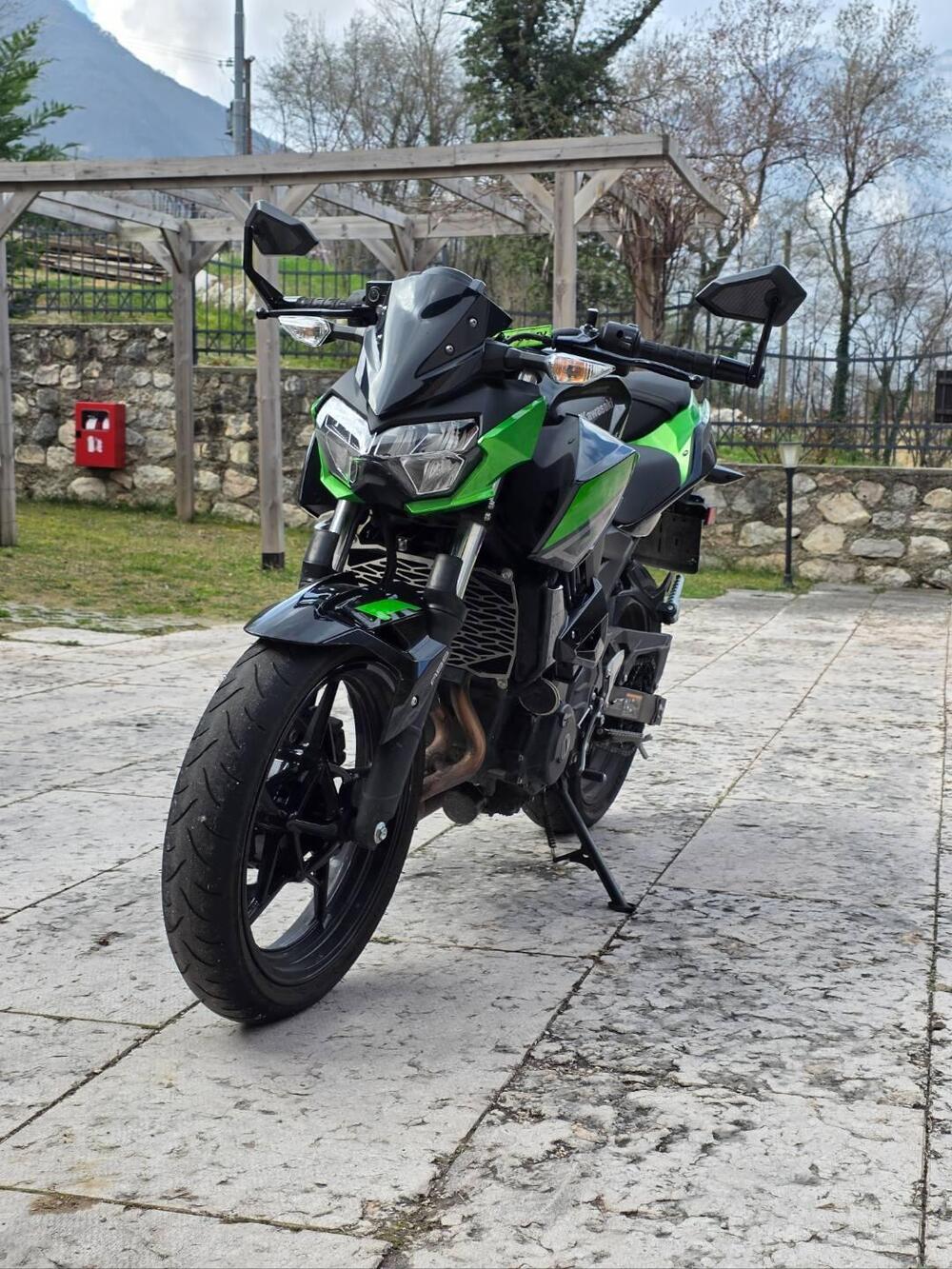 Kawasaki Z 400 (2023) (6)