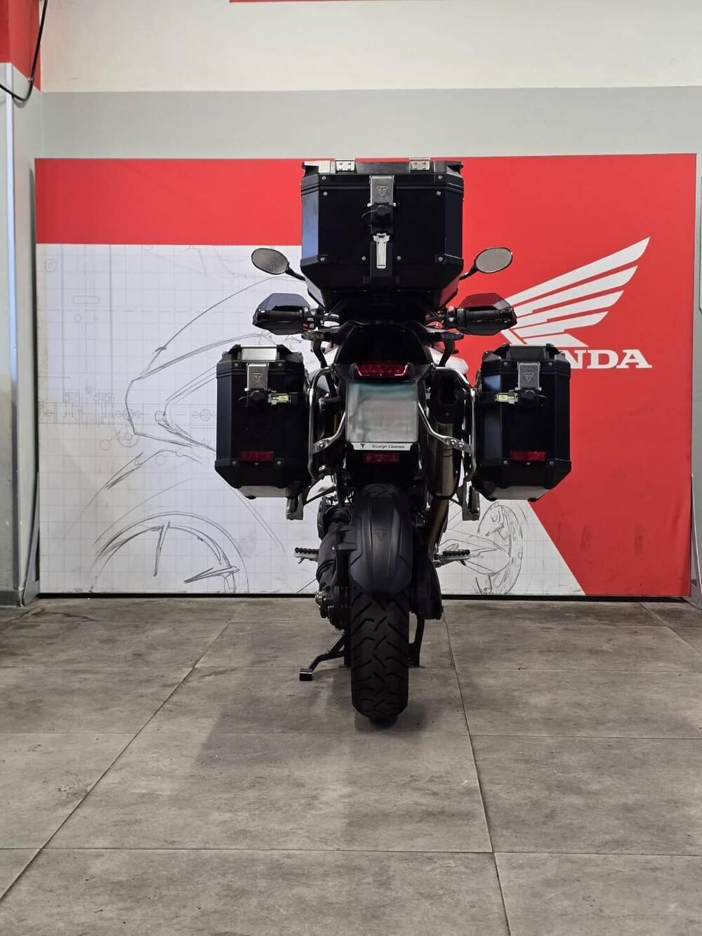 Triumph Tiger 1200 GT Pro (2024 - 26) (2)