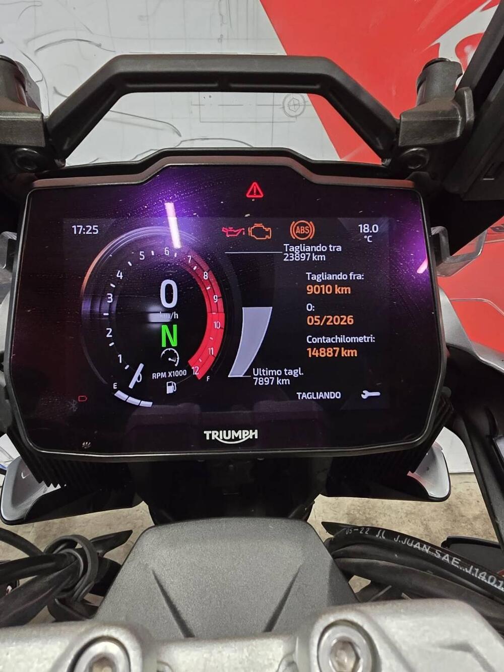 Triumph Tiger 1200 GT Pro (2024 - 26) (6)