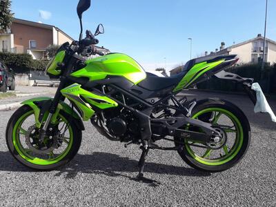 Benelli BN 125 (2021 - 25) usata