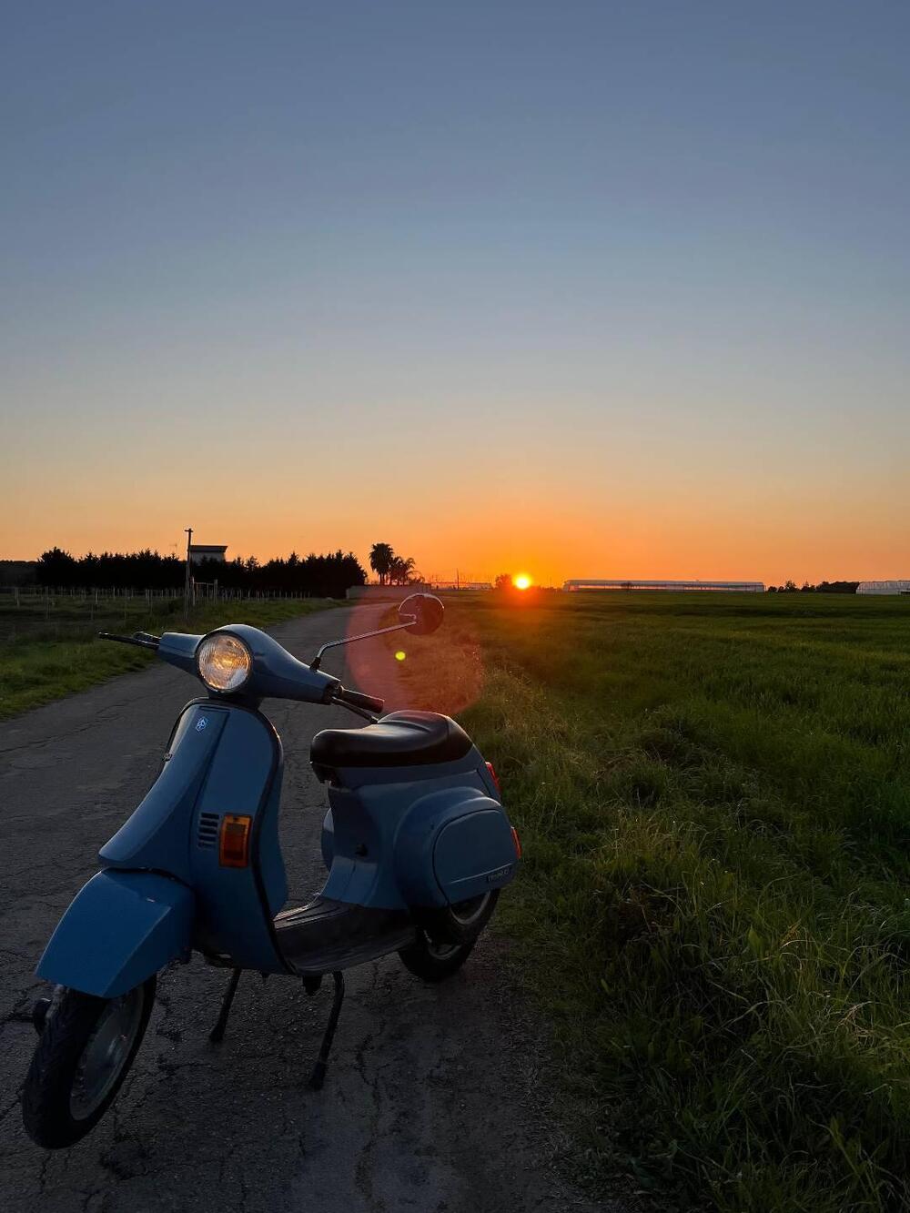 Piaggio vespa 50 V (2)