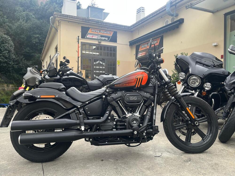 Harley-Davidson Street Bob 114 (2021 - 24)