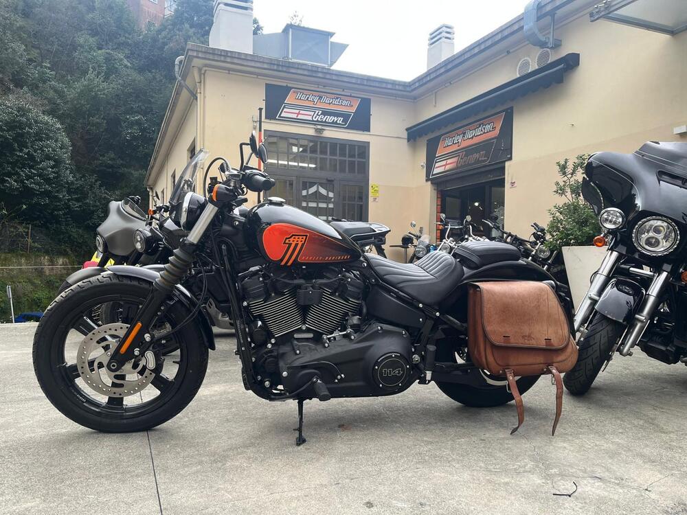 Harley-Davidson Street Bob 114 (2021 - 24) (2)