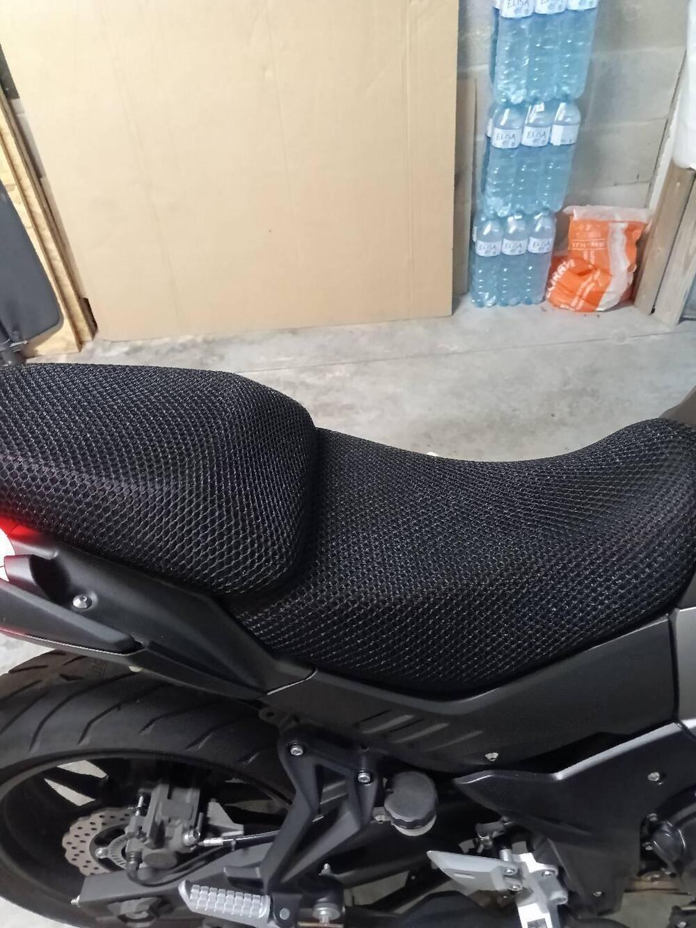 Voge Valico 500DS (2021 - 24)