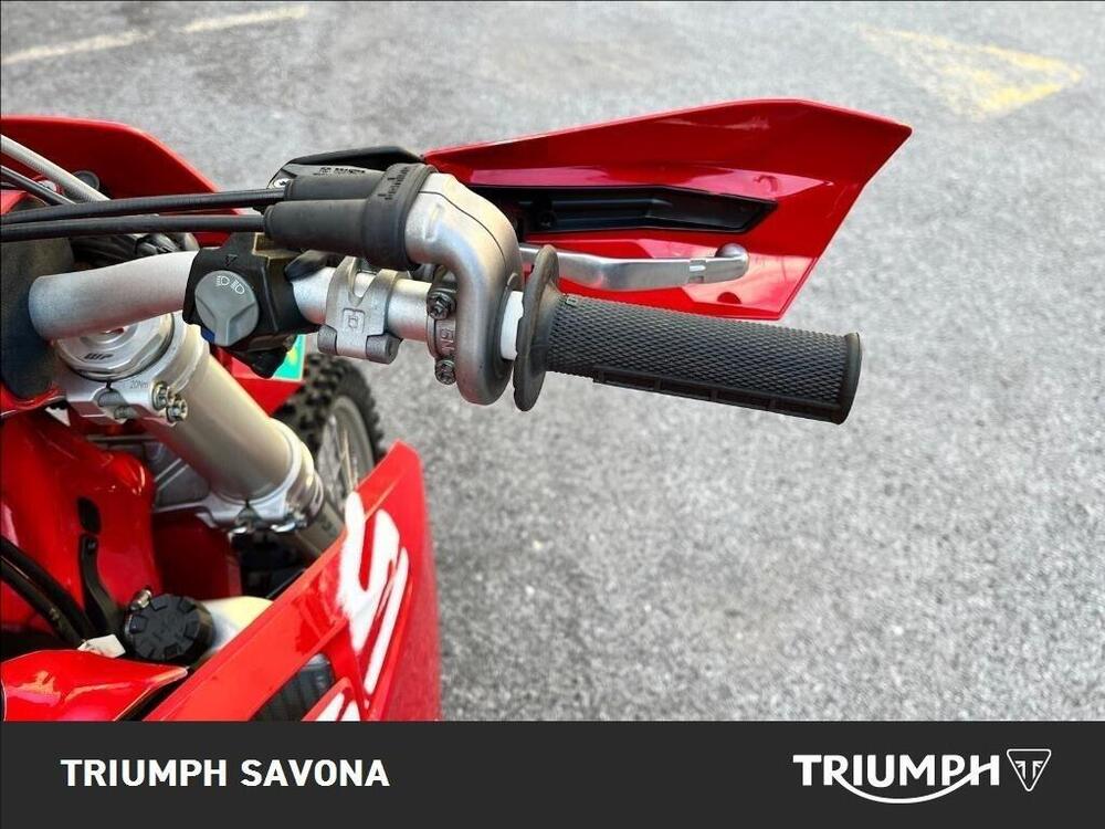 GASGAS EC 250 F (2024) (18)