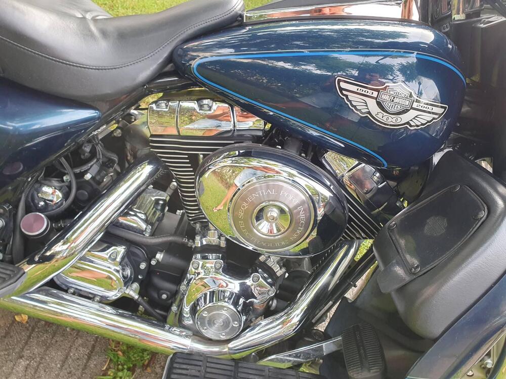 Harley-Davidson 1450 Electra Glide Ultra Classic (2003 - 05) - FLHTCUI (12)