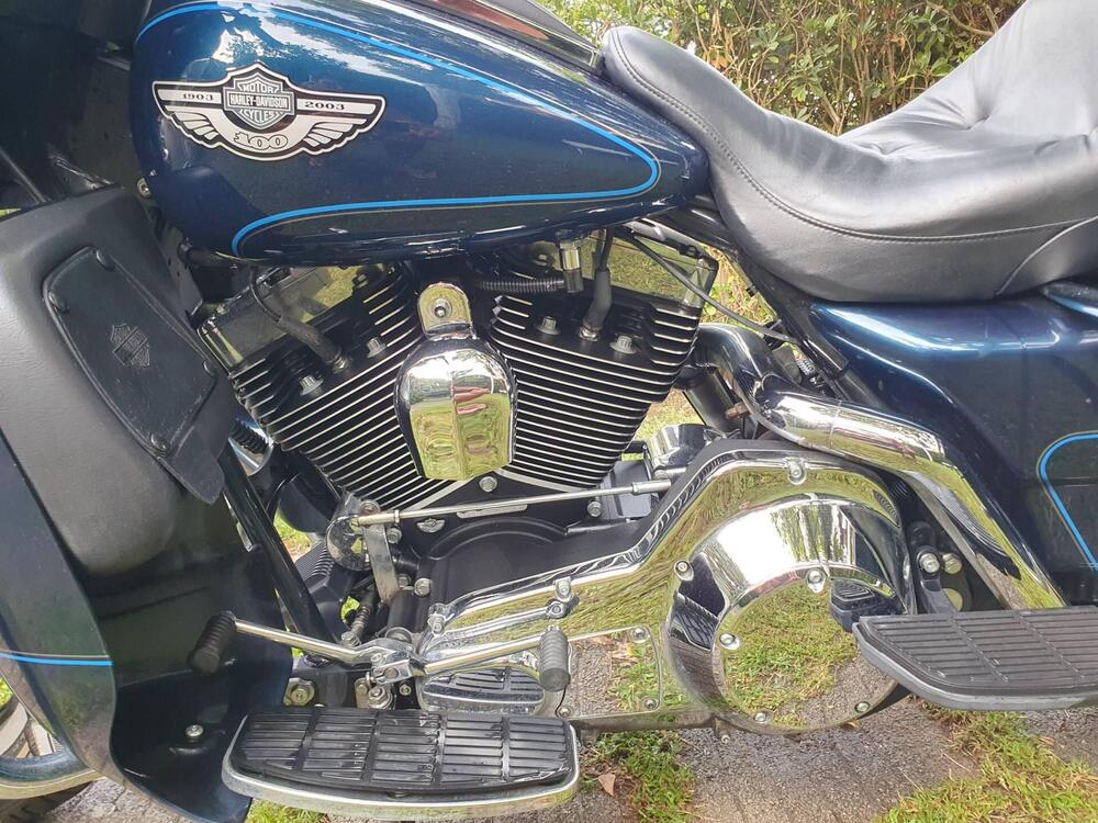 Harley-Davidson 1450 Electra Glide Ultra Classic (2003 - 05) - FLHTCUI (15)