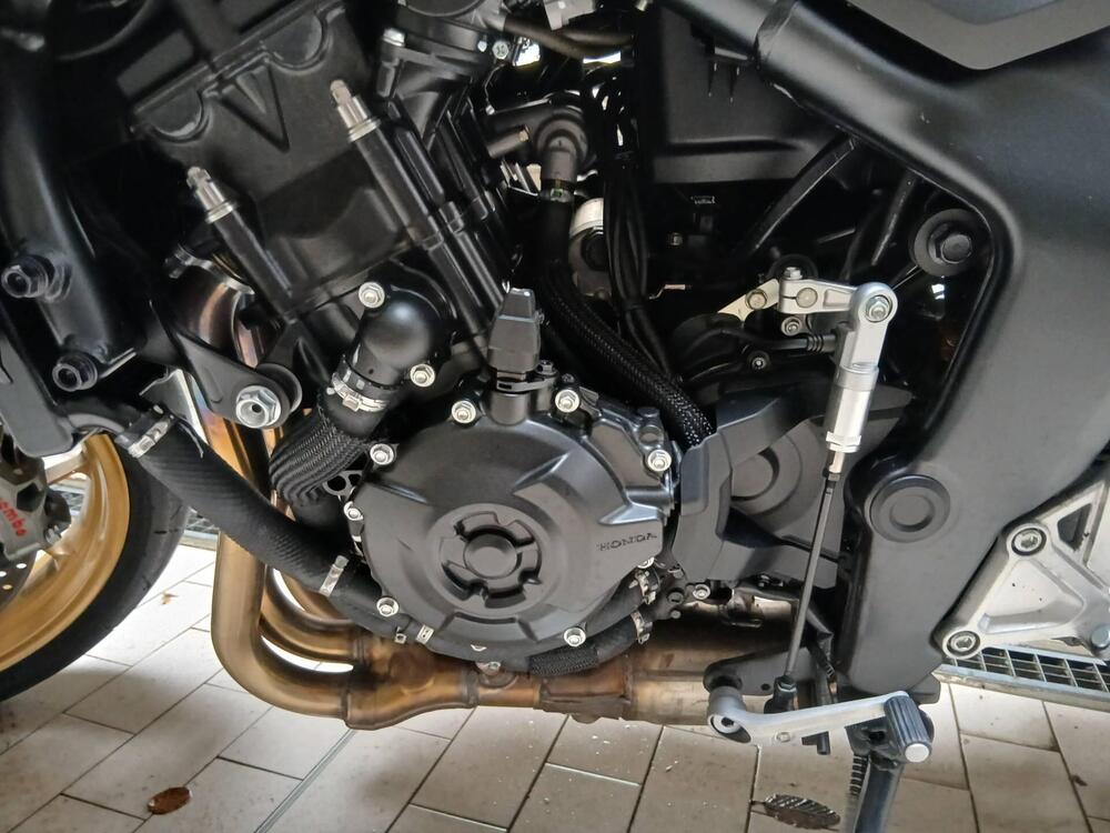 Honda CB 1000 Hornet (2025 - 26) (9)