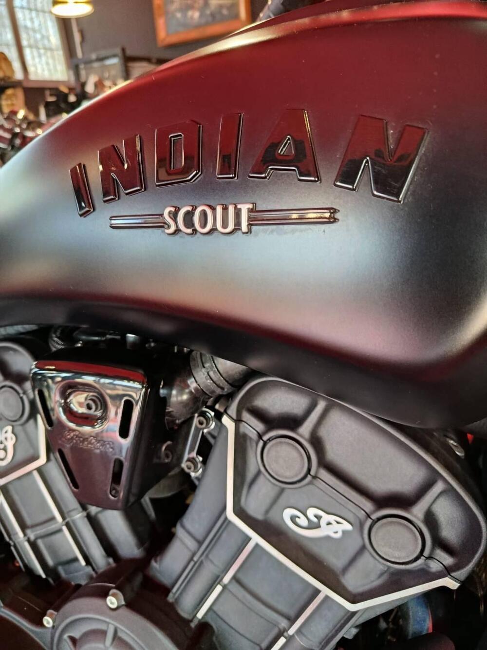 Indian Scout 1133 (2021 - 25) (3)