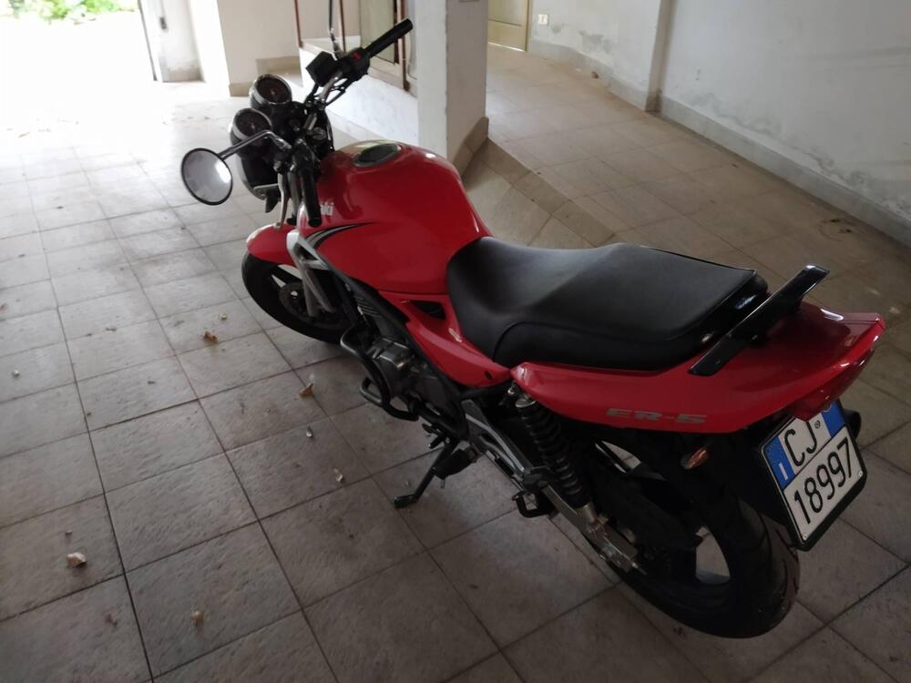 Kawasaki ER-5 500 (2001 - 06) (2)