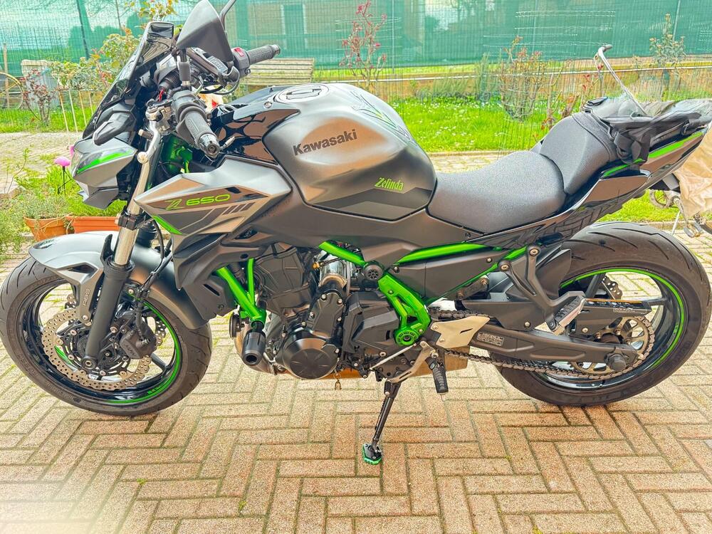 Kawasaki Z 650 Urban (2021 - 24) (3)