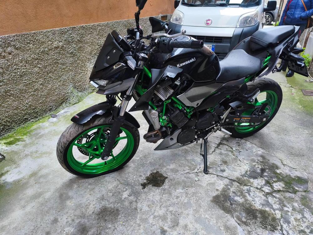 Kawasaki Z 500 SE (2024 - 26) (2)