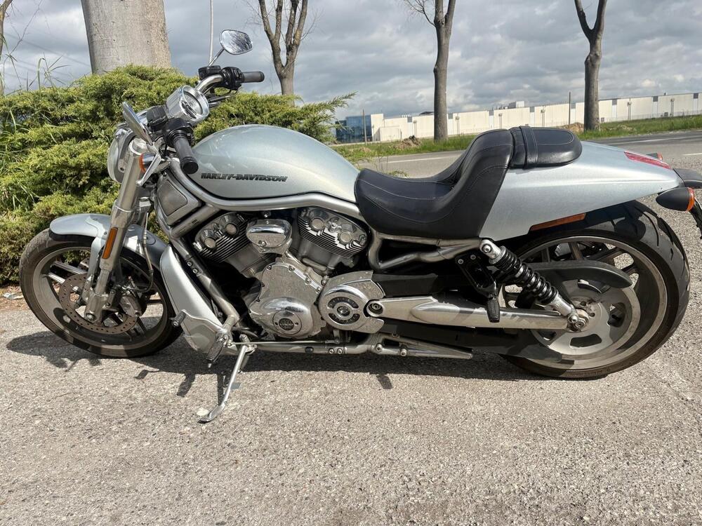 Harley-Davidson 1250 V-Rod Muscle (2009 - 17) - VRSCF