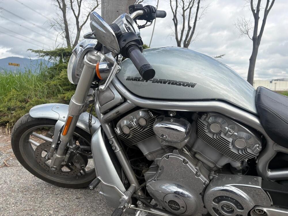 Harley-Davidson 1250 V-Rod Muscle (2009 - 17) - VRSCF (2)