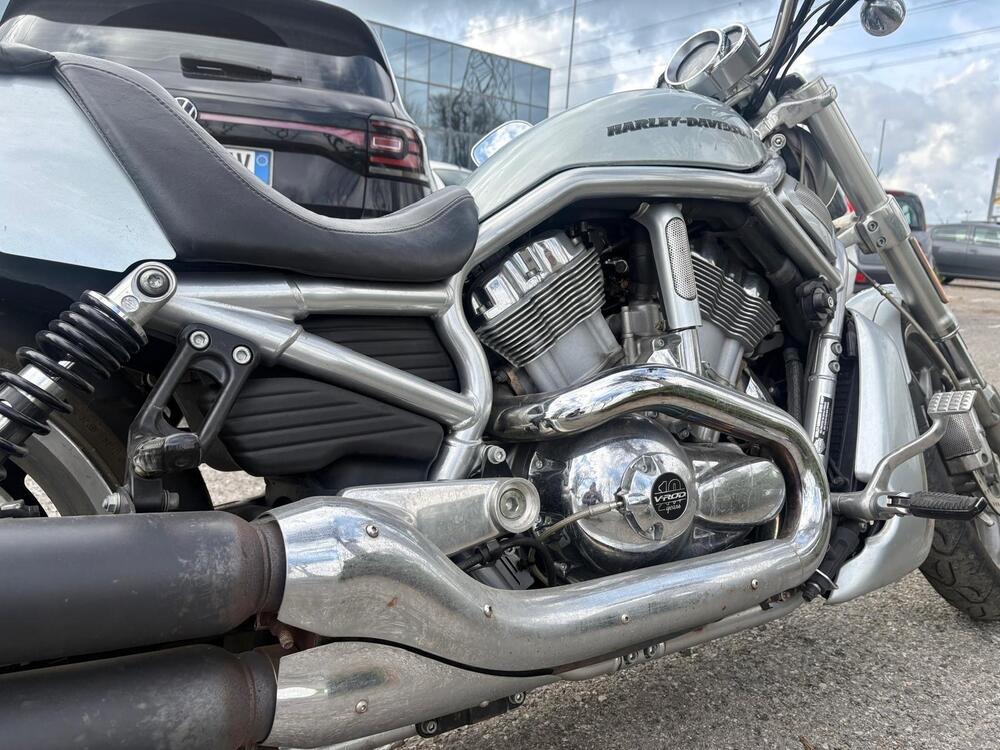 Harley-Davidson 1250 V-Rod Muscle (2009 - 17) - VRSCF (3)