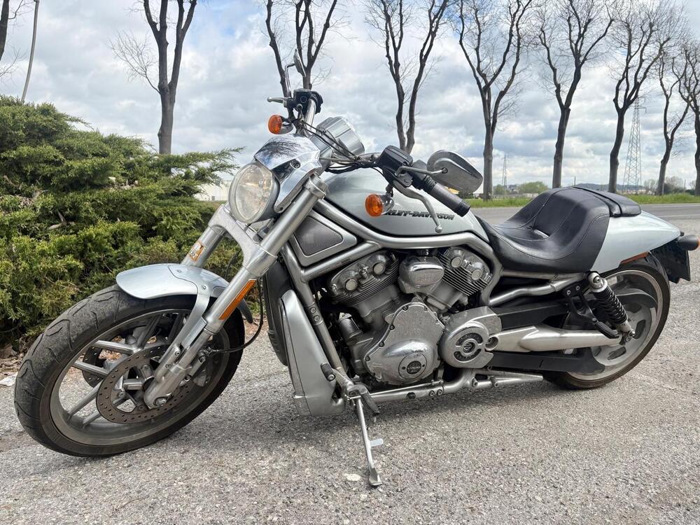 Harley-Davidson 1250 V-Rod Muscle (2009 - 17) - VRSCF (4)