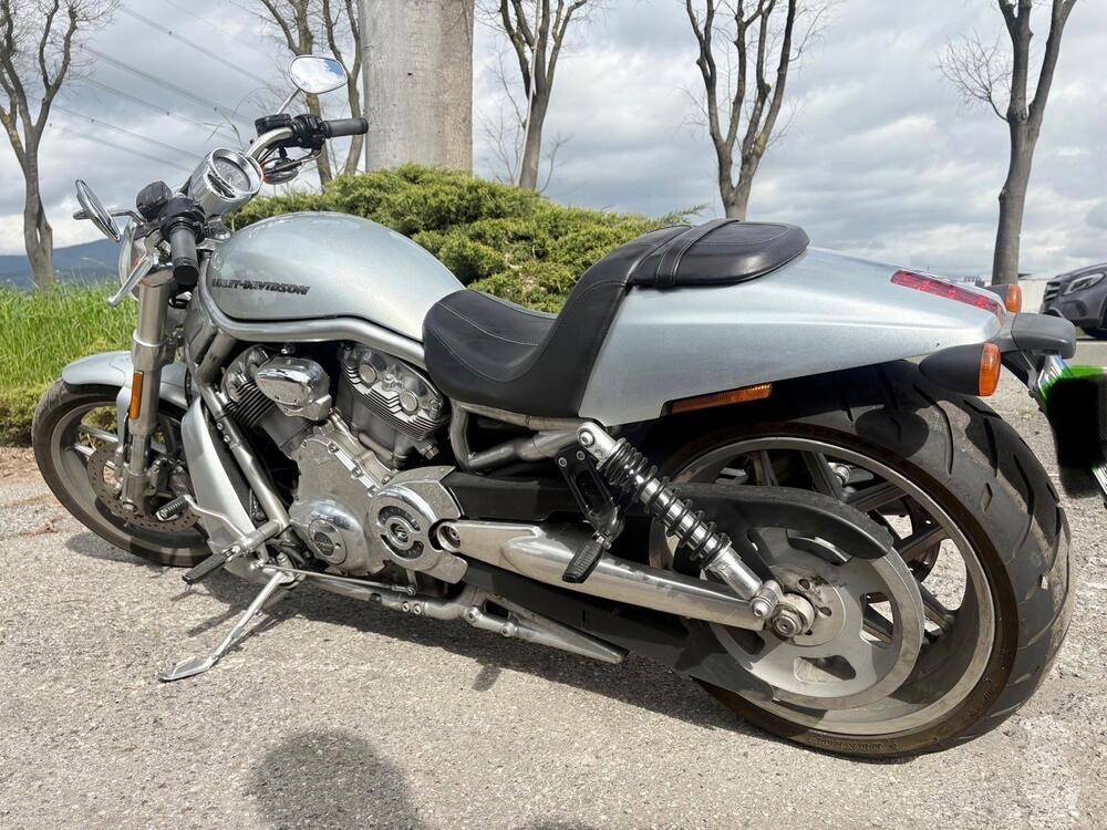 Harley-Davidson 1250 V-Rod Muscle (2009 - 17) - VRSCF (5)