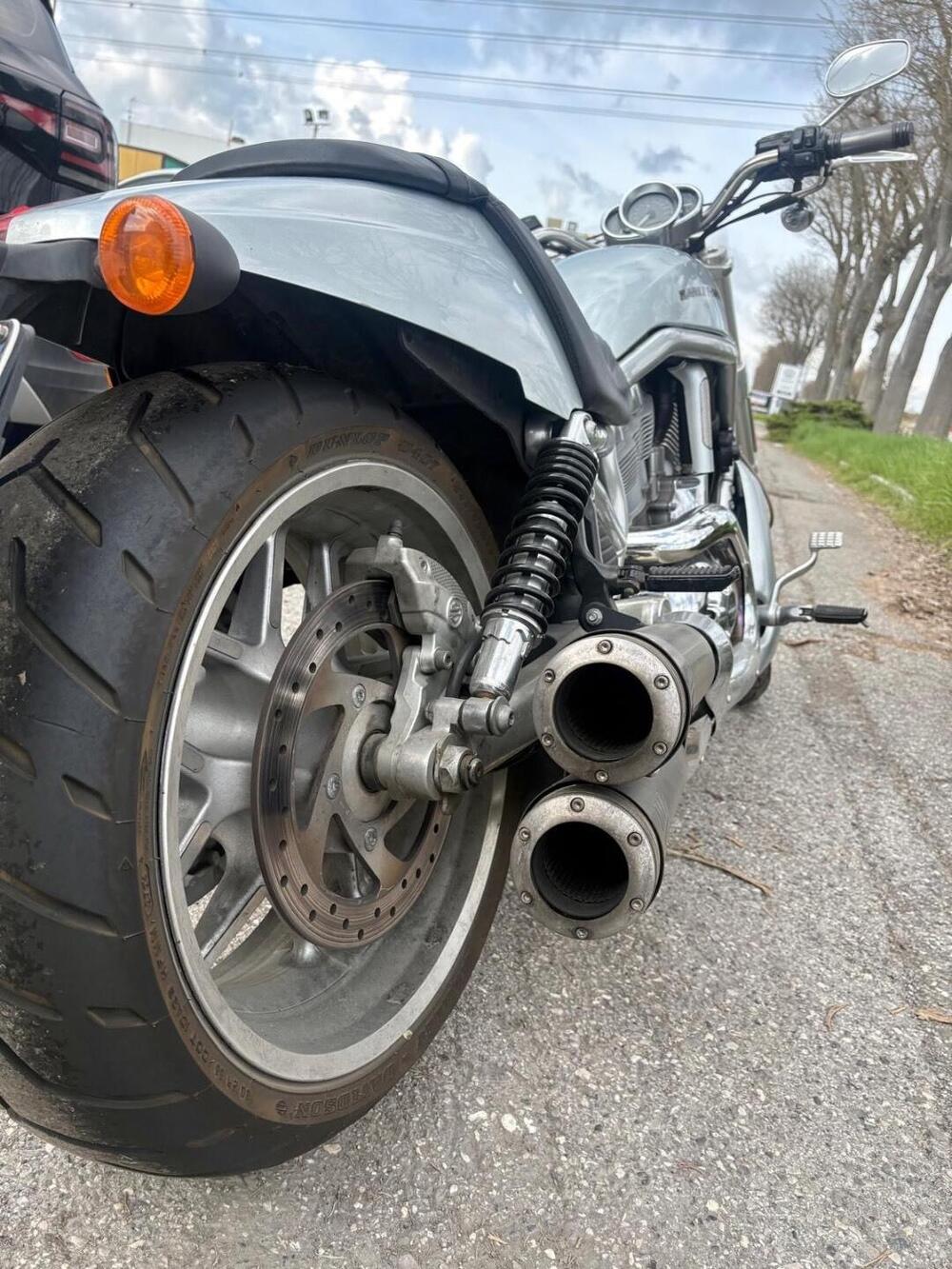 Harley-Davidson 1250 V-Rod Muscle (2009 - 17) - VRSCF (6)