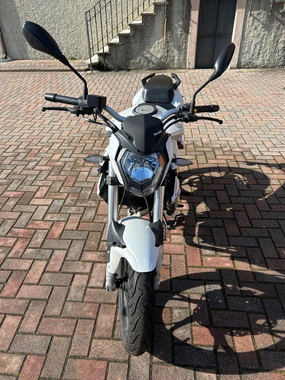 Benelli BN 125 (2018 - 20) (2)
