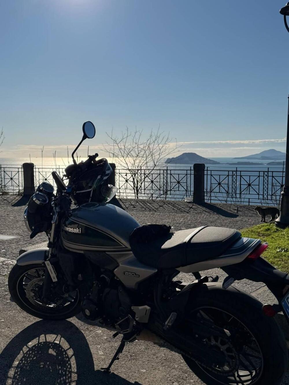 Kawasaki Z 650 RS (2022 - 24)