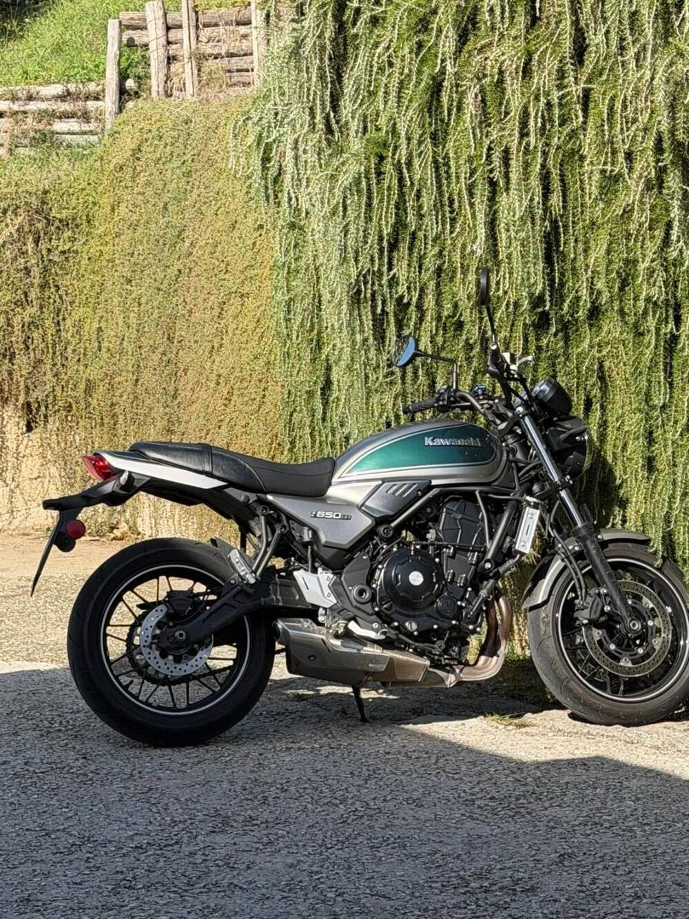 Kawasaki Z 650 RS (2022 - 24) (2)