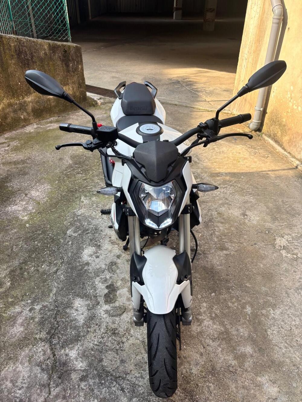 Benelli BN 125 (2021 - 25) (4)