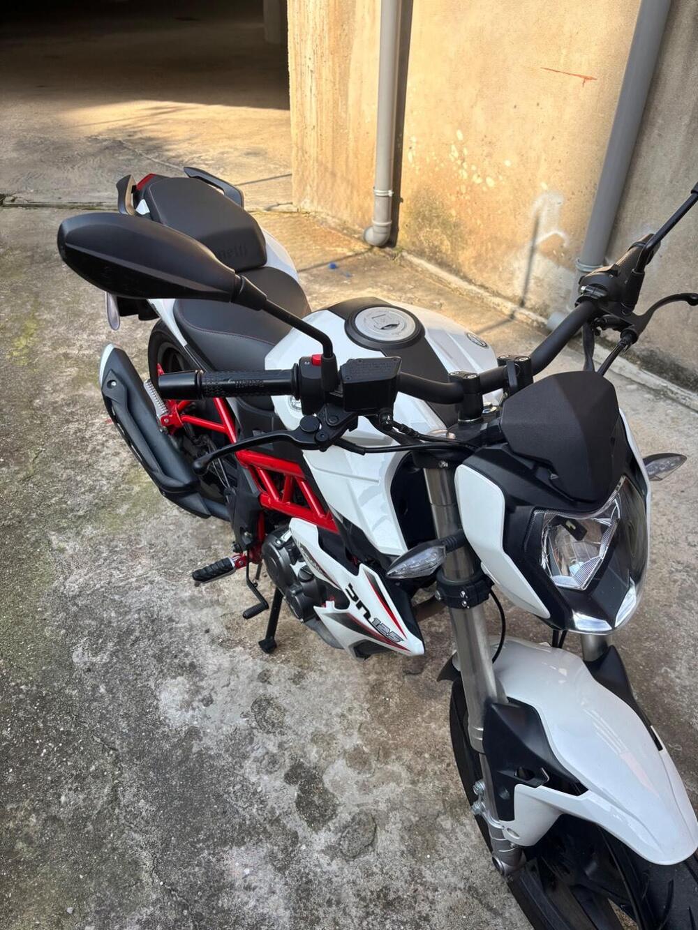 Benelli BN 125 (2021 - 25) (5)