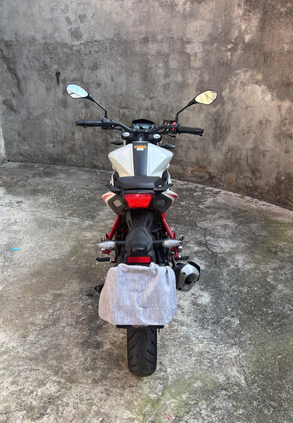 Benelli BN 125 (2021 - 25) (6)