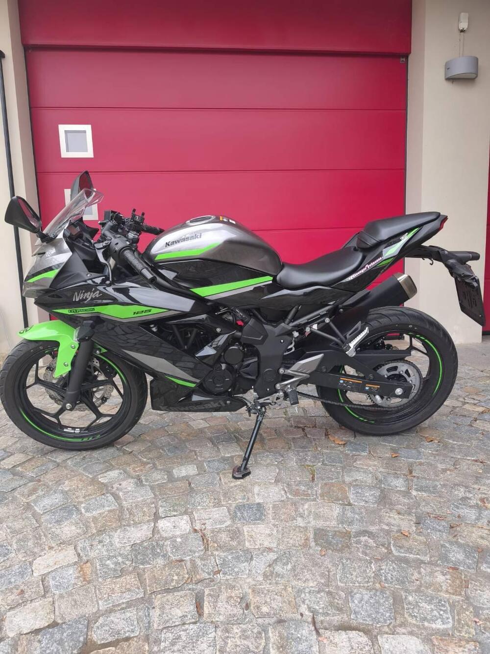 Kawasaki Ninja 125 (2021 - 24)