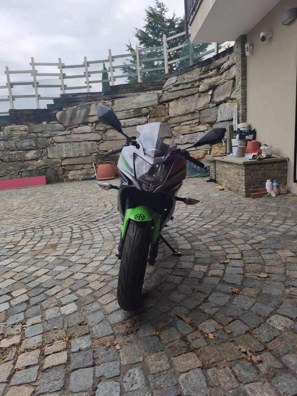 Kawasaki Ninja 125 (2021 - 24) (3)