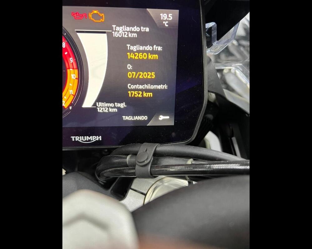 Triumph Tiger 1200 Rally Explorer (2022 - 23) (4)