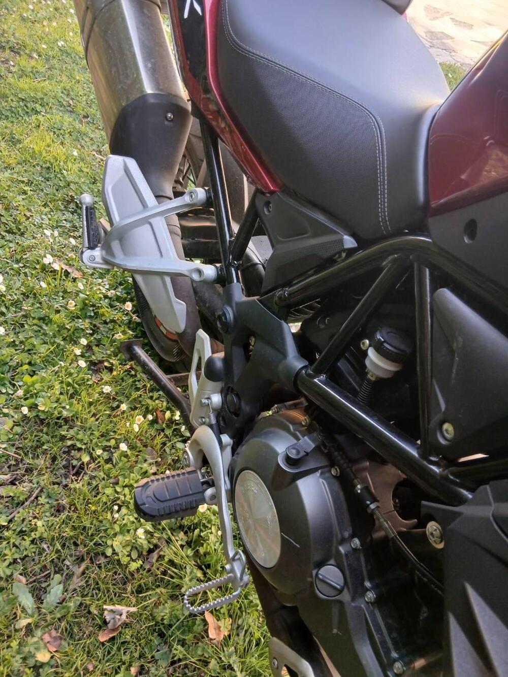 Benelli TRK 502X (2018 - 20) (2)