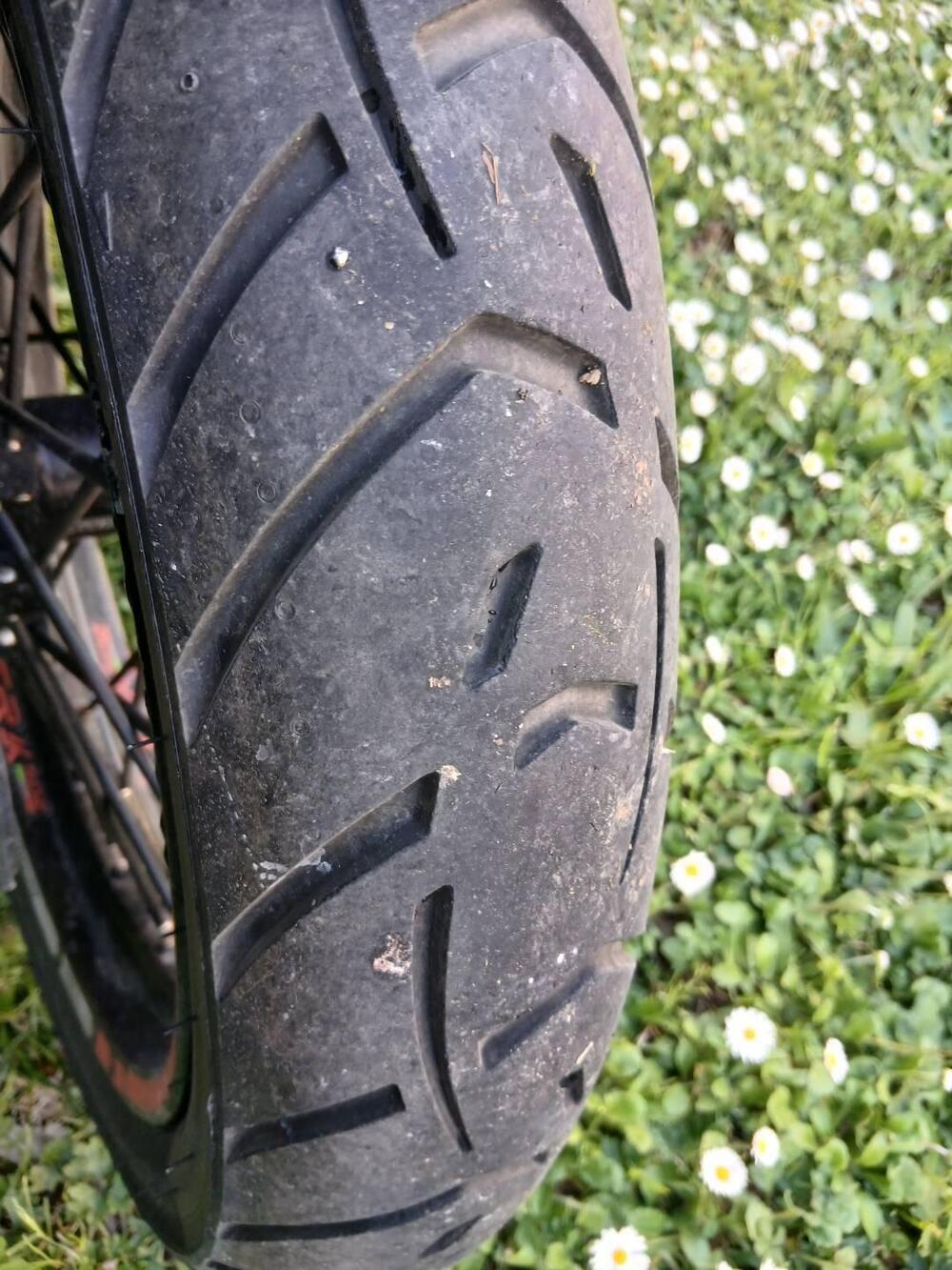 Benelli TRK 502X (2018 - 20) (4)