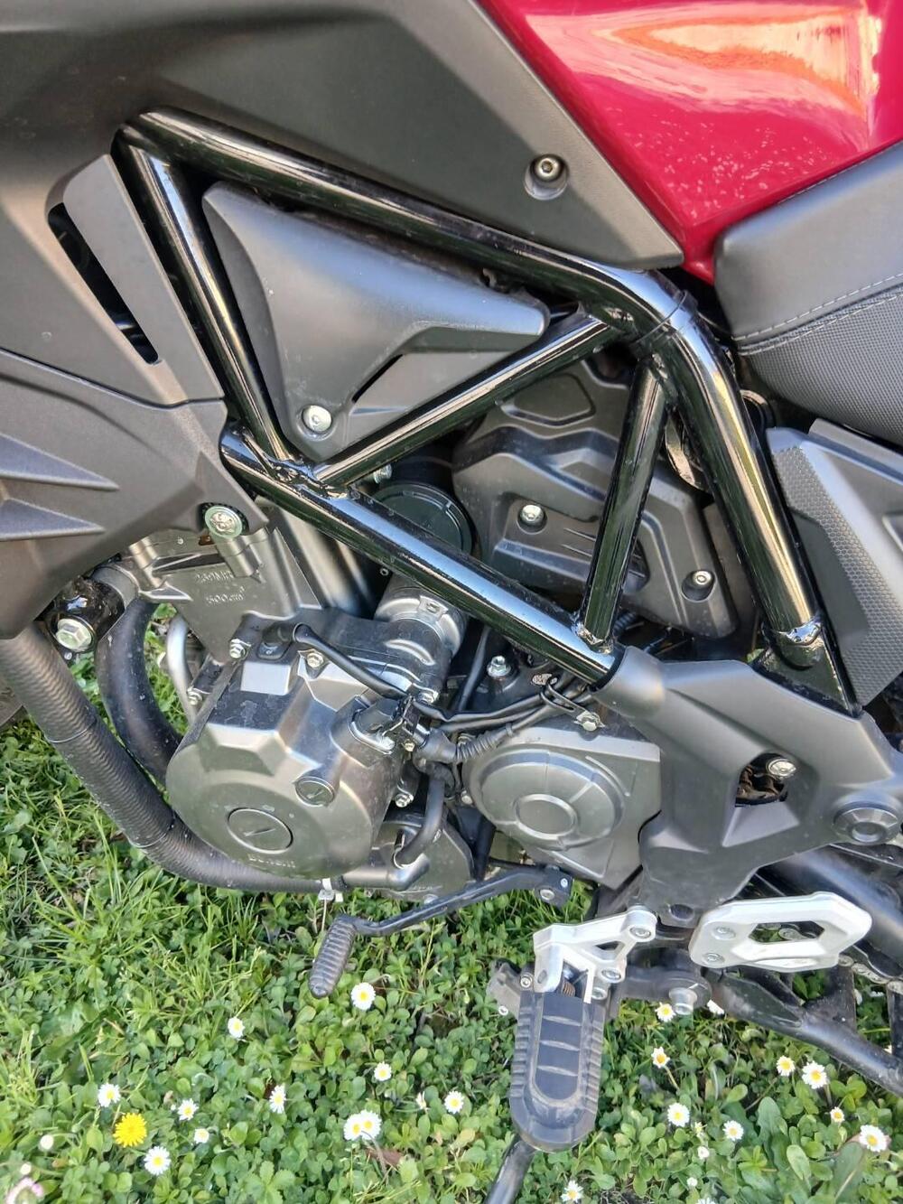 Benelli TRK 502X (2018 - 20) (5)