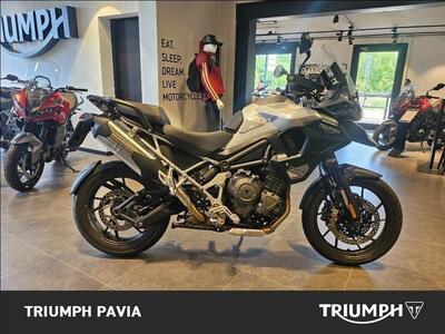 Triumph Tiger 1200 GT Pro (2024 - 26) usata
