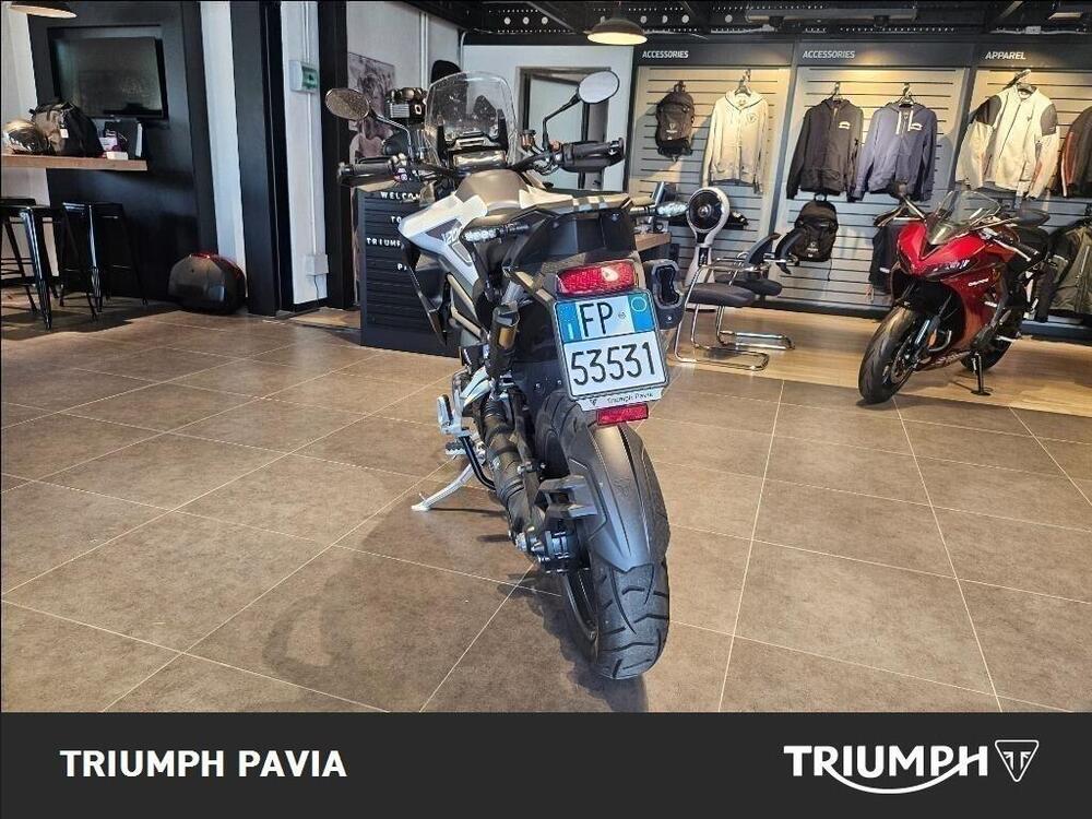 Triumph Tiger 1200 GT Pro (2024 - 26) (4)