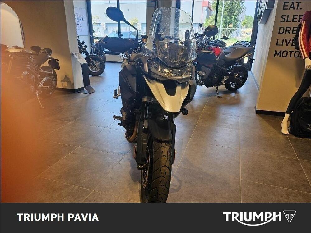 Triumph Tiger 1200 GT Pro (2024 - 26) (7)