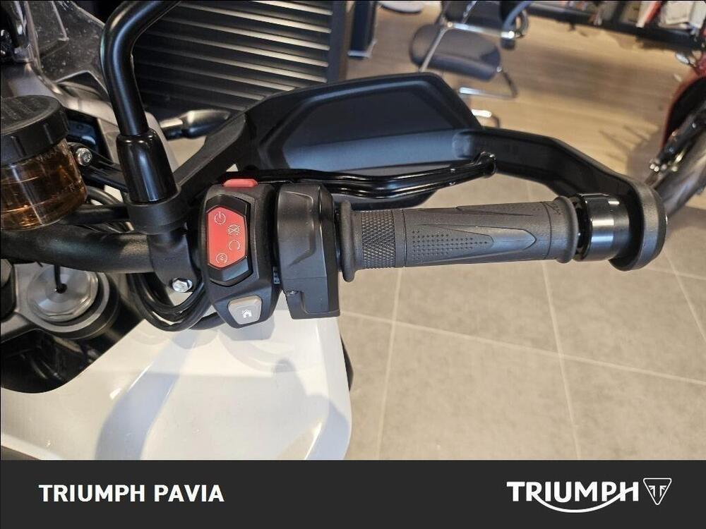 Triumph Tiger 1200 GT Pro (2024 - 26) (18)