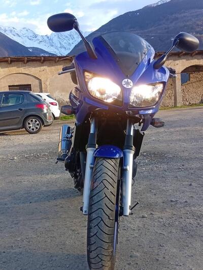 Yamaha FZ6 Fazer (2004 - 07) usata