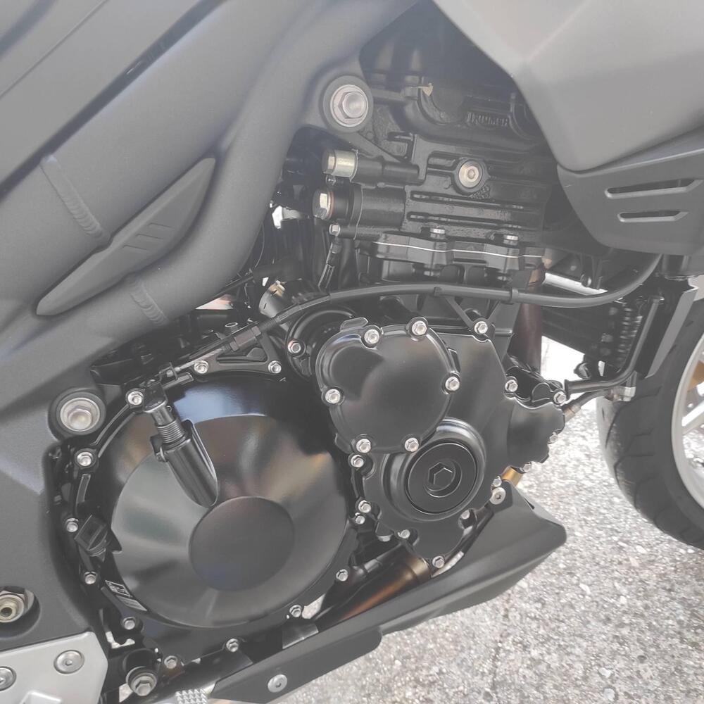 Triumph Tiger 1050 SE ABS (2006 - 13) (3)