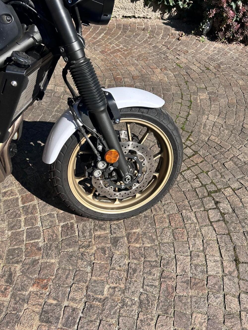 Yamaha XSR 700 XTribute (2019 - 20) (7)